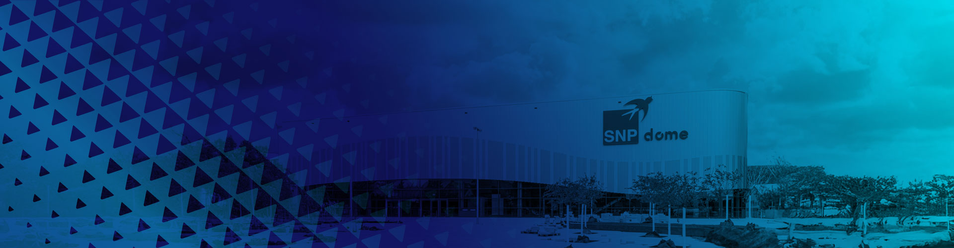 TW Banner